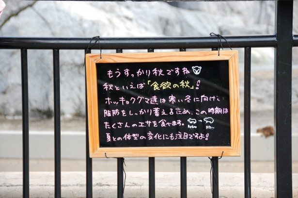 旭山動物園・飼育スタッフの手書きパネル(2016年9月撮影)