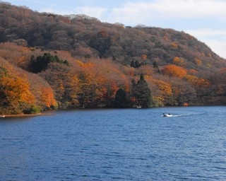 天災を乗り越え、箱根が秋の家族旅行先の人気1位に！