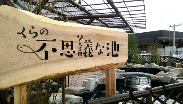 海水で天然魚を飼育する｢くらの不思議な池」