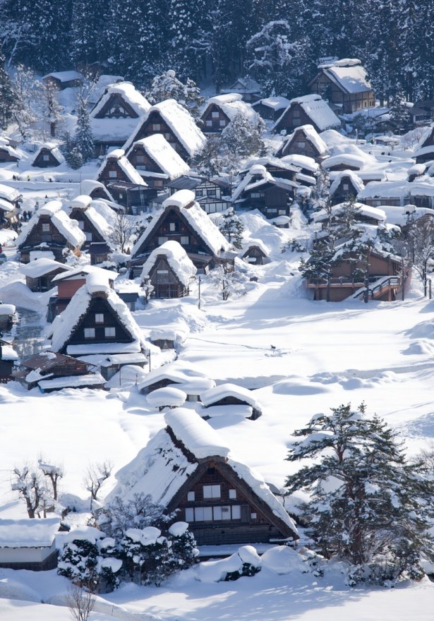 雪の白川郷など、この時期ならではの絶景に感動！