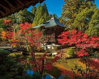 6時間で巡れる！京都・嵐山の紅葉おすすめ散歩コース