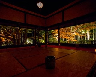 額縁庭園の鮮やかな紅葉が楽しめる宝泉院ライトアップ
