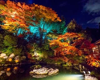青い光と紅葉に包まれた別世界！青蓮院門跡のライトアップ