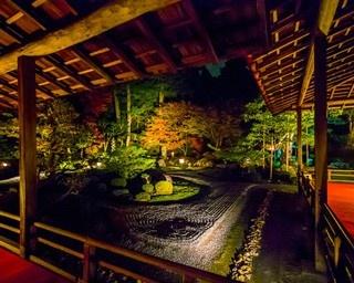 樹齢400年の松と共演！曼殊院門跡の紅葉ライトアップ