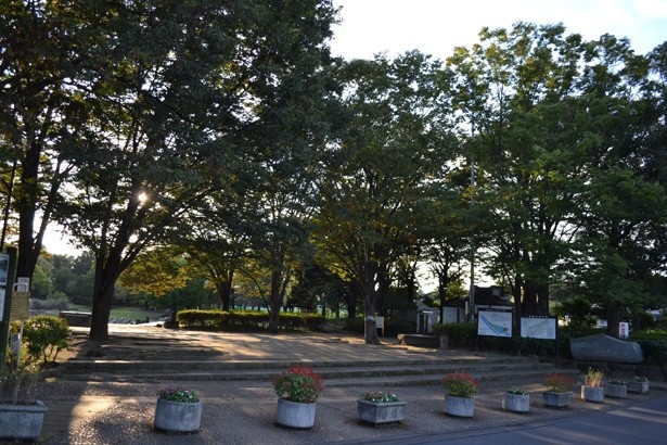 市民の憩いの場となっている、市内最大の都市公園「清瀬金山緑地公園」