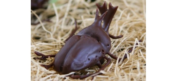 1つ1つ手作りされた繊細な形が自慢！「かぶと虫成虫チョコレート」（1000円）