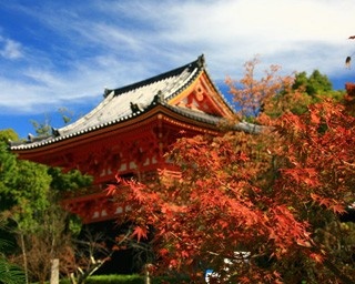 仁和寺で阿弥陀三尊像や吉祥天立像などを公開！
