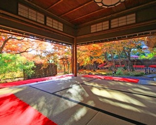 美しい庭と貴重な菩薩像を公開！宝厳院の秋の特別拝観