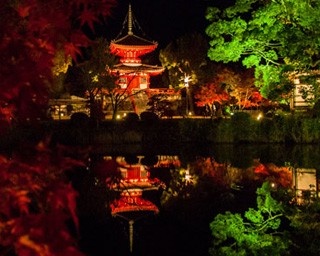 暗闇に浮かび上がる幻想的な宝塔！大覚寺の夜間特別拝観