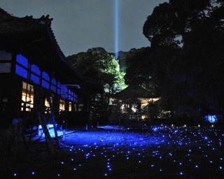 庭園が幻想的な青に浮かぶ！青蓮院門跡の夜の特別拝観