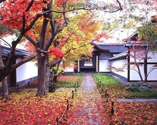 黄梅院で禅宗寺院現存最古の庫裡と直中庭の紅葉を公開