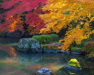 この秋、3時間で巡る！八坂神社・知恩院周辺おすすめ観光コース
