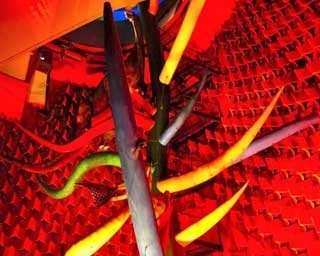 圧倒的な生命力に感動！「太陽の塔」内部再生前に公開