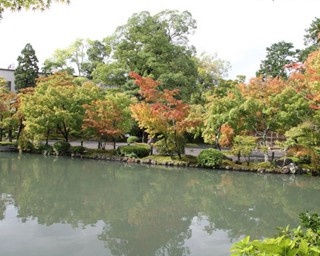 紅葉ライトアップと国宝を楽しむ！永観堂で秋の寺宝展