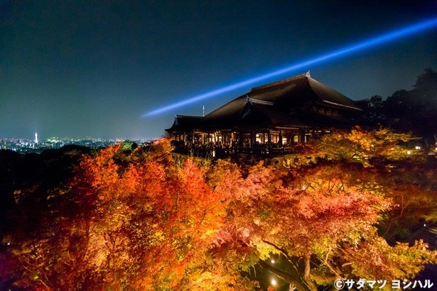 奥の院の舞台からは、眼下に広がる紅葉と本堂全景、京都市街の町並みが一望できる/清水寺