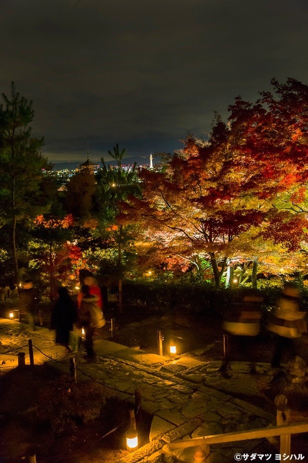開山堂を背景にした紅葉の境内が見渡せる遊歩道。グラデーションが見事な美しさ！/高台寺