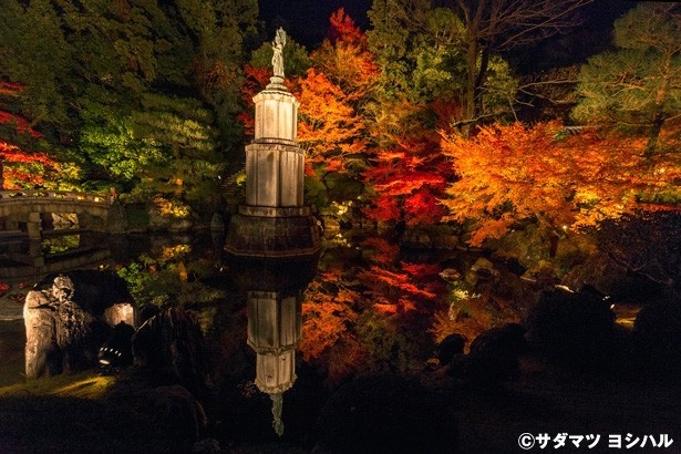 友禅苑の補陀落池には、鮮やかに色付いた真っ赤なカエデをバックに聖観音像が。池に映る紅葉と像の景色も見事！/知恩院