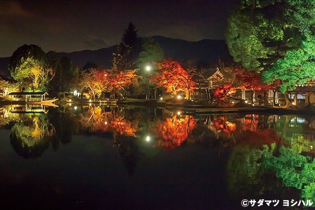 大沢池に映りこむライトアップされた紅葉や緑の木々は、一枚の絵のような美しさ！/大覚寺