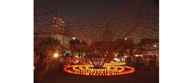 竹で作られたオブジェが並ぶ、中之島公園会場の「BAMB OO FOREST」。行灯が置かれ、昼とは違う幻想的な雰囲気を演出