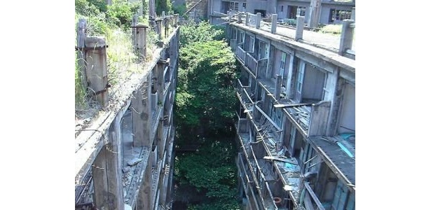 朽ち果てた社宅