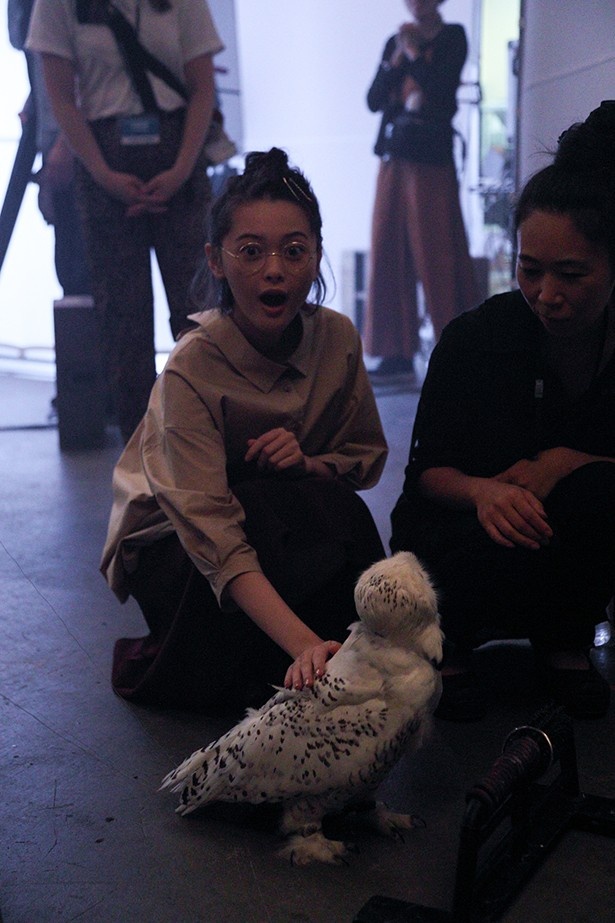 動画に“共演”したフクロウに触れて大興奮の玉城ティナ