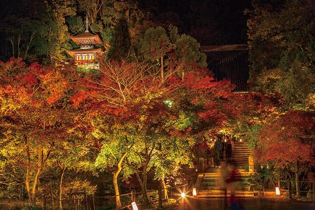 多宝塔が紅葉の中に浮かび上がる永観堂