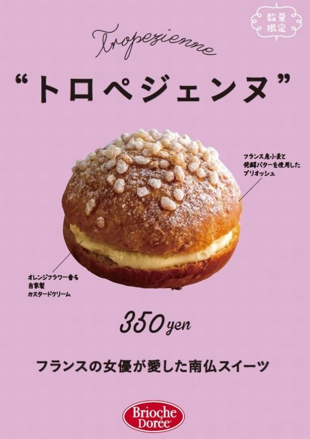 フランスの伝統菓子「トロペジェンヌ」が日本上陸！｜ウォーカープラス