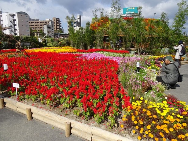 写真撮影に勤しむ来訪者も