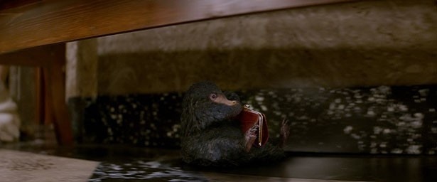 みんな欲しくなるという魔法動物のニフラー