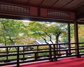 秋の京都もみじめぐり 紅葉の押し花 御朱印を作ろう！