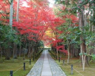 嵐山を借景とする日本最初の枯山水庭園が初ライトアップ＆夜間特別拝観