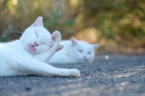 【写真を見る】周りは気にしない！ゆったり過ごすことが大事！