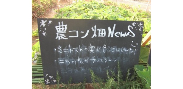 きょうの畑のニュースは…