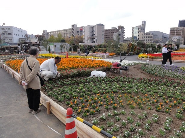 ただいま冬の花への植え替えまっただ中