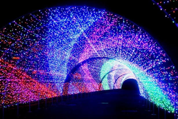 幻想的に輝く光のトンネル「スパイラル・パサージュ」。引き込まれていくような不思議な感覚を体感しよう