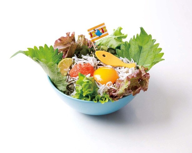 【写真を見る】「江ノ島ショーン(28)おすすめシラス丼」(税抜1200円)。11月27日までの提供/カフェ コスタメサ なんばパークス店