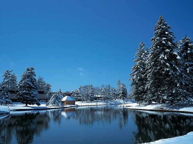 クリスマスのみのプランぜひ楽しんでみては