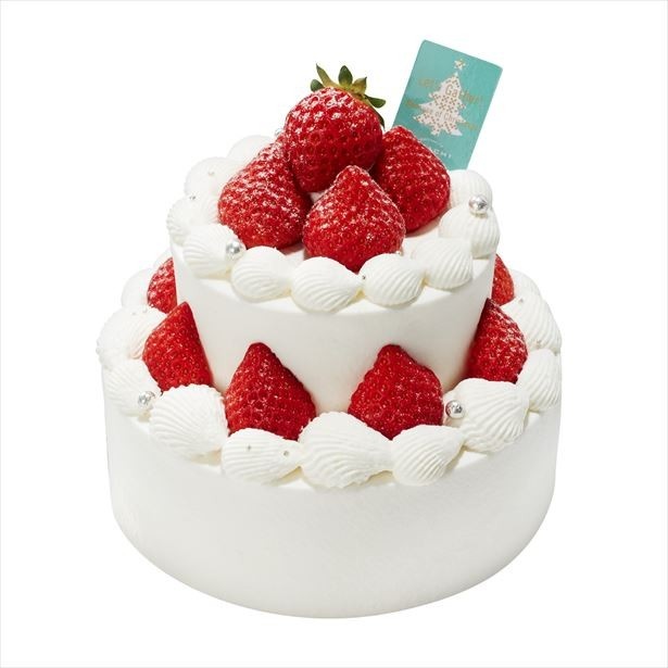 クリスマススペシャルショート(8100円)