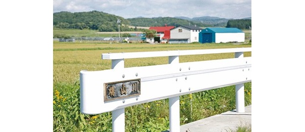 なんと鳩山川も！しっかり整備され用水路の役割をしている