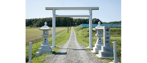 道道39号線に面して鳥居があり、森の奥に本殿がある