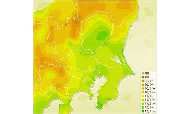 イチョウ色づき予想マップ【関東】