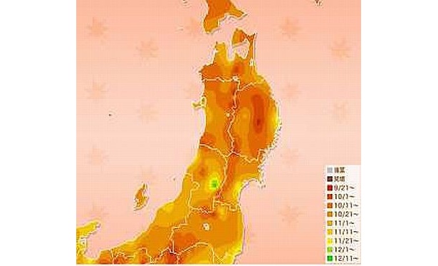 もみじ色づき予想マップ【東北】
