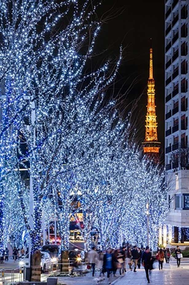 【写真を見る】相性占いができる!?『Artelligent Christmas 2016 けやき坂 Galaxy イルミネーション』