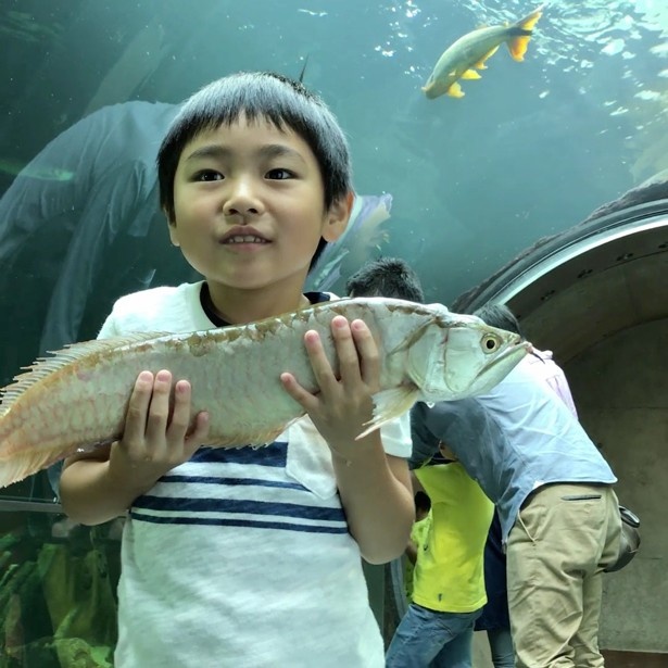 ガラス越しに手を伸ばして魚をキャッチ