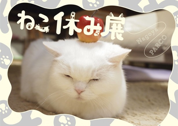 「ねこ休み展 in 名古屋パルコ」メインイメージ