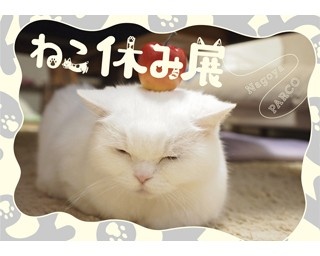 名古屋限定のグッズ販売もあり！来場者10万人超の「ねこ休み展 in PARCO」に注目