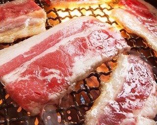 冬限定！すたみな太郎の “肉づくし”食べ放題