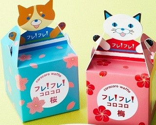 ワッフルケーキ専門店「エール・エル」が頑張る人に“エール”