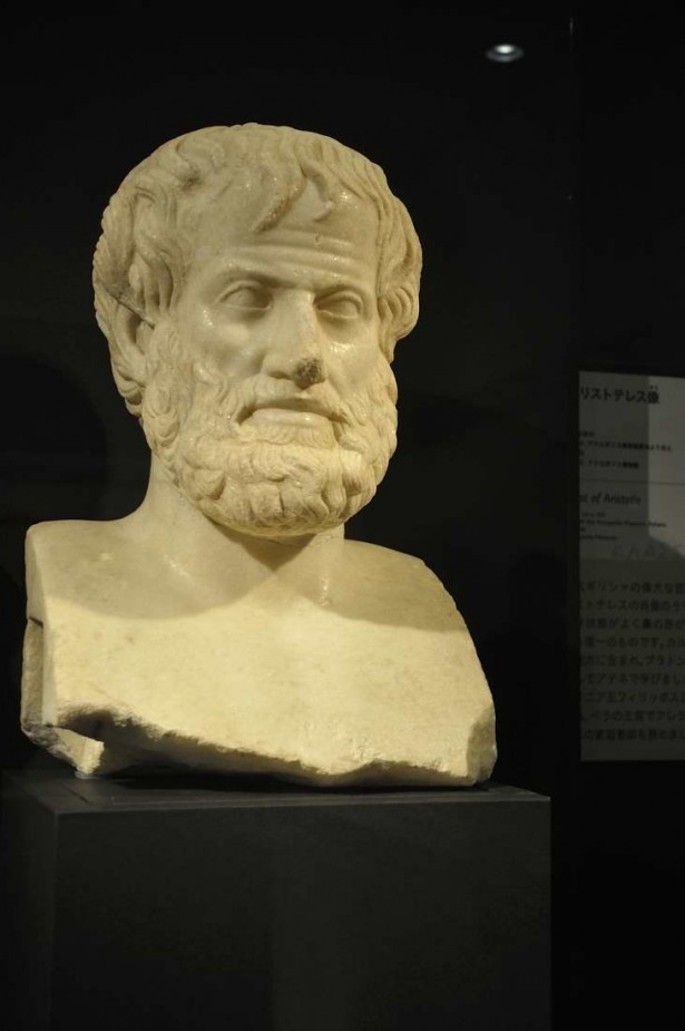 教科書で見たことがあるかもしれない、アリストテレス像も展示されている
