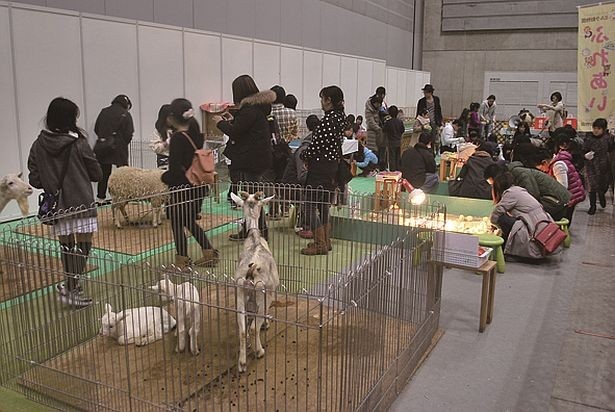 【写真を見る】パシフィコ横浜では「Pet博2017 in 横浜」を開催！